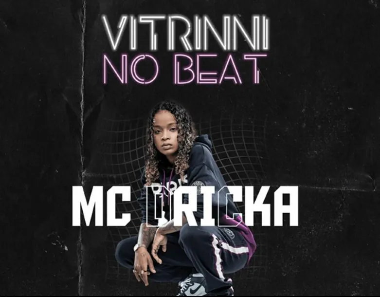 Vitrinni: social media